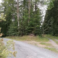 Von Saaldorf zum Marienstein