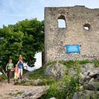 Burgruine Falkenstein