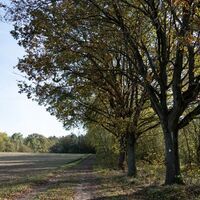 Wanderweg entlang des Klötzie-Stiegs