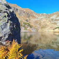 Mittlerer Kaltenbachsee
