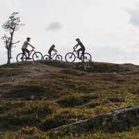 Familie mit Mountainbikes auf dem Gipfel des Ruka, Kuusamo, Lappland
