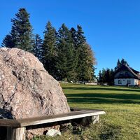 Freithofberg-Trail - Maria Neustift