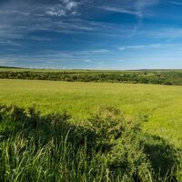 Offenland im Nationalpark Eifel