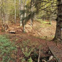 Unterwegs zum Stollenmundloch