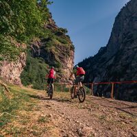 Bovarina Bike