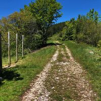 Sportgeräte entlang des Weges