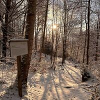 Naturlernpfad Triesenberg