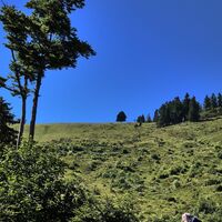 Die Latschenalm