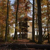 Chartaque im Wald