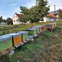 Bienenstöcke in der Oststeiermark