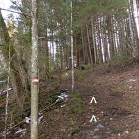am Wiener Mariazeller Pilgerweg
