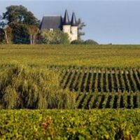 Les-Grands-Crus-Classes-du-Medoc-de-Pauillac-a-Margaux-2 (Medium)
