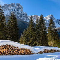 Pians da l'ancona - Val San Nicolò ©Archivio APT Val di Fassa