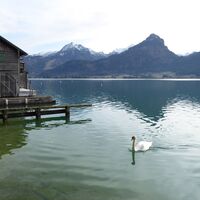 Am Ende der wunderbaren Reise in St. Wolfgang.