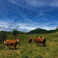 En Pryse - Massif du Grand Colombier
