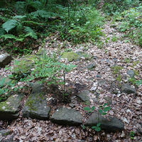 Überbleibsel der Burgruine Waldenfels