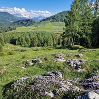 Wanderweg Trail 09