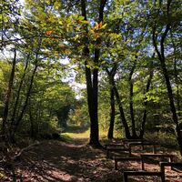 Fitnessparcours von Parves