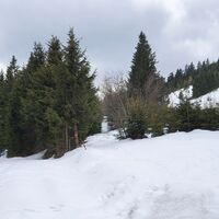 4.8 km ... Einsteig in den Pfad auf den Plankogel
