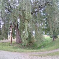 Kreuz an der alten Weide vor Ralbitz