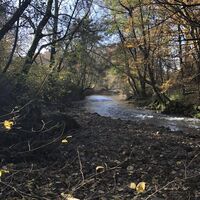 Chemin du Grain de Sel - Am Ufer des Cérou