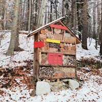 Insektenhotel