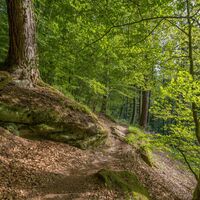Auf dem Rodalber Felsenwanderweg