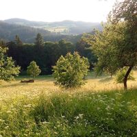 Rappottenstein - Blick von der Burg