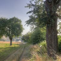 Hügellandschaft im Kraichgau | HeilbronnerLand