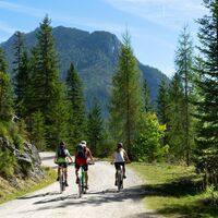 Viehbergalm-Runde_Auffahrt 