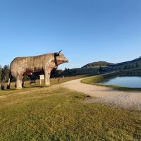 Holzochse am Teichalmsee_Naturpark Almenland_Oststeiermark