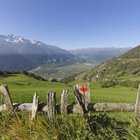 Suedtirol, Vinschgau, Vinschger Hoehenweg, Wanderweg, westlich vom Gasthof Paflur, Abschnitt Tanas-Schluderns,