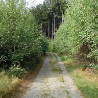 Wegeführung hinab vom Herlinghauser Berg