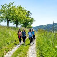 Südlicher Panorama Weg