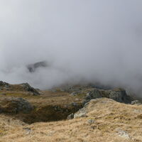 auch der Laugensee liegt im Nebel