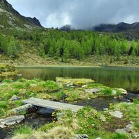 Idyllisch, der Winklerner Almsee