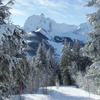 vor Wasserscheide - Winterwanderung Selibüel