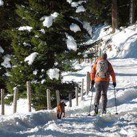 Rodelstrecke mit Skitouren