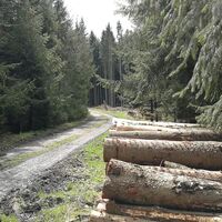 Vom Leitencafé bei Tanna zum Rosenbühl