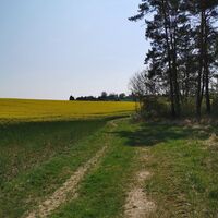 Weg nach Kottendorf
