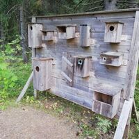 Mikonsaaren Naturpfad