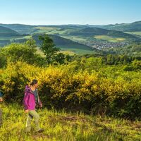 Naturschutzgebiet Wartekopf