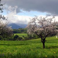 Plöschenberg