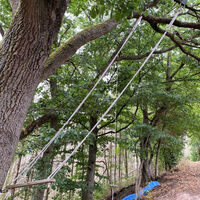 Waldspielplatz