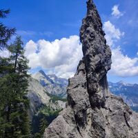 Beeindruckender Wächter am Steig