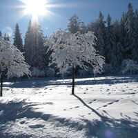 Naturpark Hohe Wand
