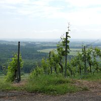 Panoramablick unterhalb des Schönenbergs