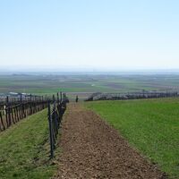 am Weinberg Blick nach Südwest