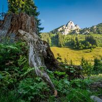 Blick zum Roß- und Buchstein