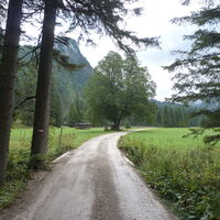 entlang der Forststraße